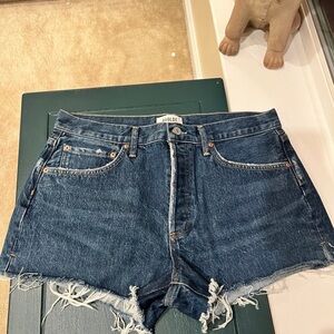 NWOT AGOLDE Parker Denim Shorts